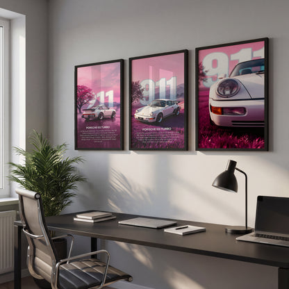 Pink Horizon 911 Wall Frame Set of 3