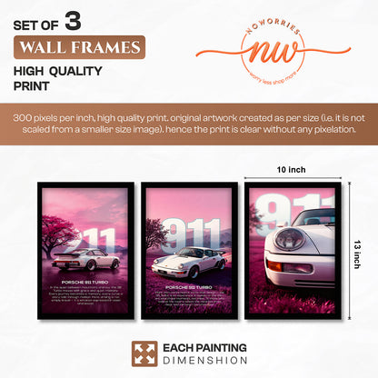 Pink Horizon 911 Wall Frame Set of 3