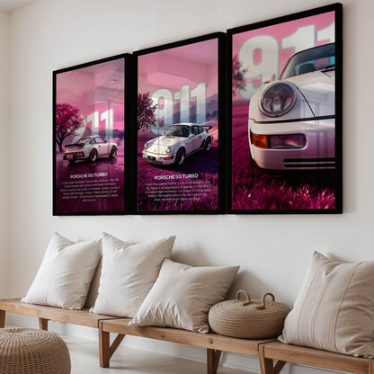 Pink Horizon 911 Wall Frame Set of 3