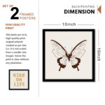 Neutral Set Wall Frames