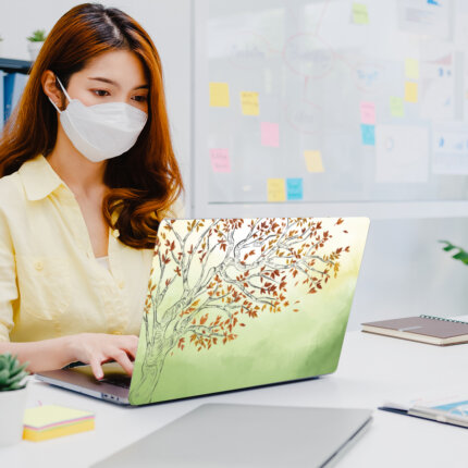 Laptop skins